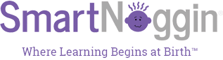 SmartNoggin™ logo